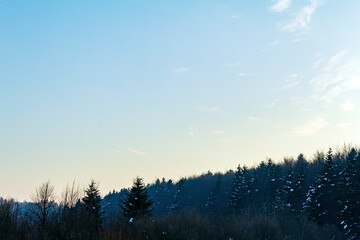 Landscapes - Forest - Europe, Romania, Suceava region 