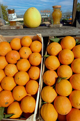 Arance di Ribera is a typical orange produced in Sicily near Agrigento