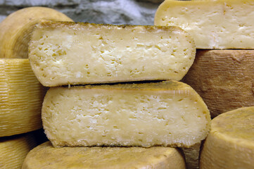 Pecorino di Farindola typical sheep cheese produced in Abruzzo by the women of Farindola inside the Gran Sasso National Park