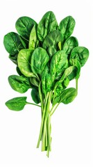 Fresh spinach leaves arranged in a bunch, showcasing their vibrant green color and healthy appearance.