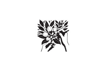 A Magnolia flower vector silhouette image Made by adobe illustrator..eps