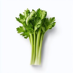 Fresh Green Celery Stalk Against a White Background