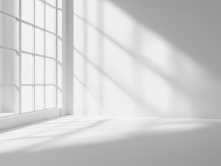 Elegant blank white wall with soft natural light and minimal architectural design