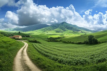 Obraz premium Hilly landscape with vineyards, Hexental, near Freiburg im Breisgau, Markgraflerland, Black Forest, Baden-Wurttemberg, Germany, Europe. Beautiful simple AI generated image