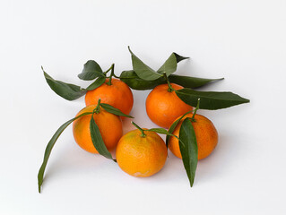Clementines with leaves on white background.
