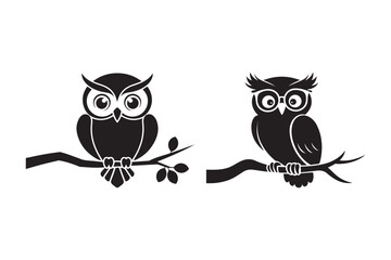 Black and White Owl Illustrations on Branch