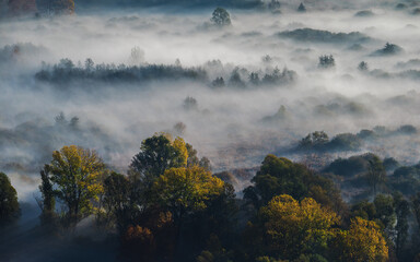 Fototapeta premium autumnal foggy morning sunrises over the Adda river, Lecco, Italy 
