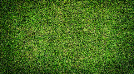 Fototapeta premium A Close-Up View of Lush Green Grass Blades Intertwined, Forming a Dense and Vibrant Texture, Ideal for Backgrounds and Design Elements.