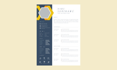 Resume curriculum template design