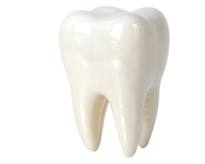 single white tooth isolated on white background.AI GENERATED