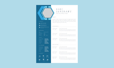 Professional Resume curriculum template design