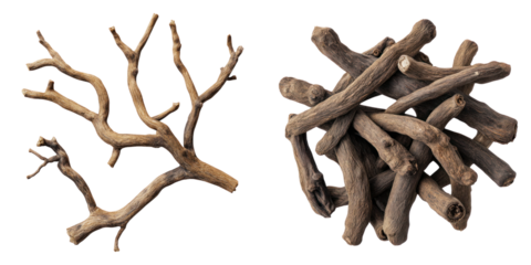 Liquorice roots isolated on transparent background, Set of