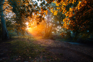 lumi&egrave;re d'automne