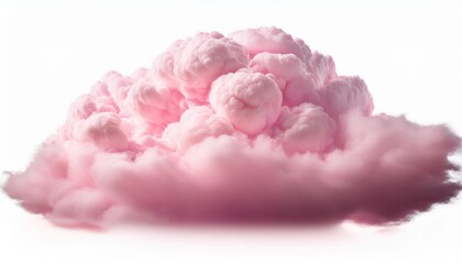 pink rose isolated on white