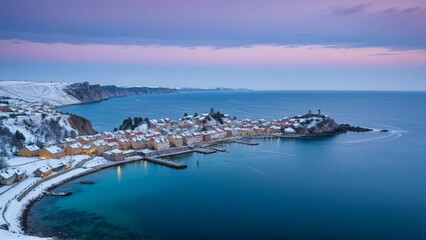 aerial view of a coastal town