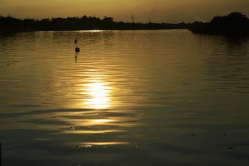 Fototapeta premium the reflection of the sun's rays before the sunset is very beautiful