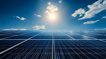 Vast solar panel field under bright sun and blue sky.
