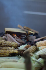 Yellow ripe juicy corn cobs on fire. Alexandria, Egypt.