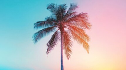 Palm Tree Silhouette Against a Vibrant Sunset
