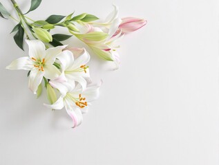 Fototapeta premium Beautiful heart-shaped arrangement of white and pink lilies on a white backdrop, flowers, love