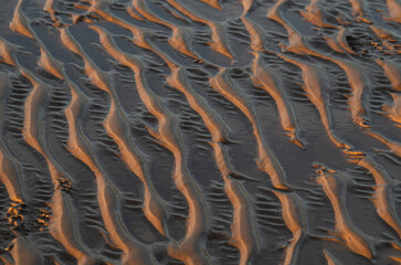 sand background  in golden hour 