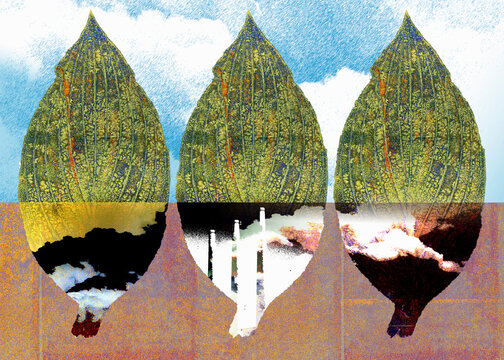 Air pollution and leaves