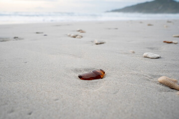 Trash on the beach | Polluted beach | Ocean and Beach Pollution | Beach cleanup | Ocean cleanup