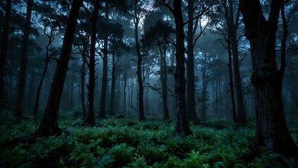 Obraz premium Enchanted twilight forest in moonlit serenity.