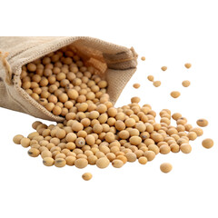Sack of Spilled Soybeans Isolate On Transparent Background Cutout, PNG file, Cutout file