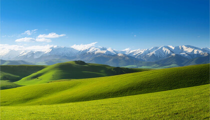 Paisaje hermoso en campa