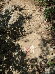 Hiking trail mark on Cheile Nerei National Park, Caraş-Severin County, Romania