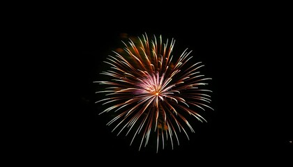 Fototapeta premium Midnight fireworks explode, vibrant colors reflect the sky.