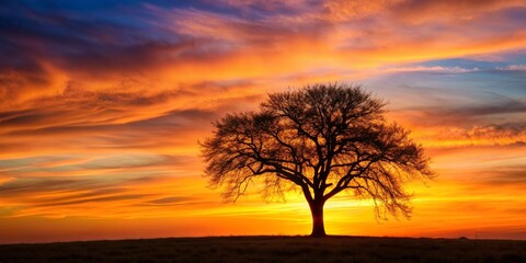 Obraz premium Fiery Sunset Silhouette Lone Tree at Golden Hour