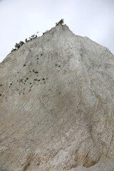 cliff that is eroding due to natural elements and the plants hanging in the balance at risk of falling