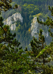 Rocks among forest near city Sarajevo, Bosnia and Hercegovina