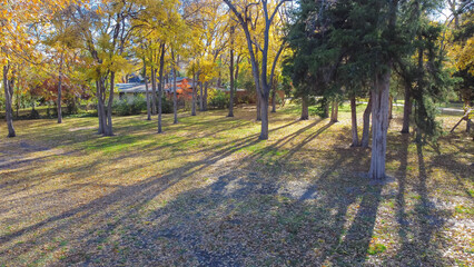 Colorful fall foliage with beautiful afternoon light at suburban park in upscale residential...