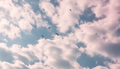 Fototapeta premium Sky full of clouds in a serene landscape, resembling a dreamlike world