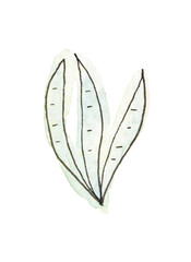 Watercolor green leaf illustration with simple hand-drawn touch and natural pastel palette.