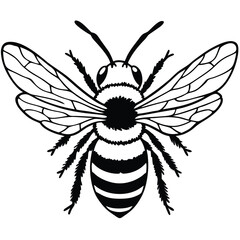 Bee vector silhouette