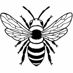 Bee vector silhouette