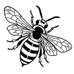 Bee vector silhouette