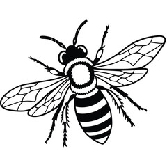 Bee vector silhouette