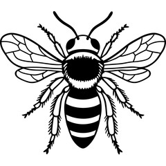 Bee vector silhouette