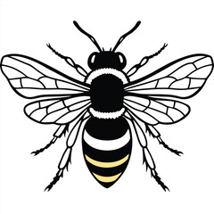 Bee vector silhouette