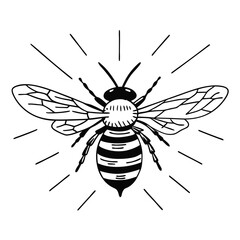 Bee vector silhouette