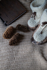 Cozy Winter Evening with Candlelight and Warm Comfort