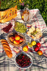 Picnic on a sunny day. Fruits, berries, sandwiches, baguette and wine, ready for a summer picnic on a warm sunny day. Top view