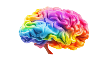 colorful brain