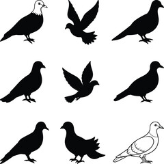 Flying dove vector silhouettes are isolated, and there is a set of black silhouettes of doves in flight.