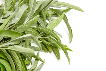 Close-up of fresh sage leaves with vibrant green tones and textured surfaces, ideal for culinary, herbal, or natural wellness themes
